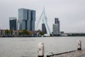 Rotterdam, The Netherlands: river view with Erasmus bridge and skyscrapers Royalty Free Stock Photo
