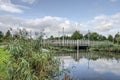 Rotterdam pedestrian bridge