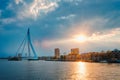 Rotterdam skyline cityscape with Erasmusbrug bridge over Nieuwe Maas in contre-jur on sunse, Netherlands.