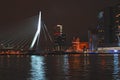 Rotterdam skyline with Erasmus bridge, Netherlands Royalty Free Stock Photo