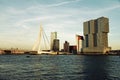 Rotterdam skyline with Erasmus Bridge Royalty Free Stock Photo