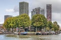Rotterdam skyline, trees and harbour Royalty Free Stock Photo