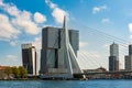 Erasmus bridge over the Meuse river and modern office buildings at Kop van Zuid, Rotterdam the Netherlands Holland Royalty Free Stock Photo