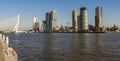 Rotterdam Wilhelminapier Bridge and Shores