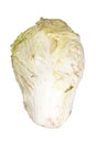 Rotting cabbage on white