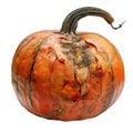 A Rotting, Cracked Pumpkin with a Dried Stem Royalty Free Stock Photo