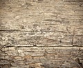 Rotting dry wooden background Royalty Free Stock Photo