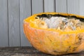 Rotting pumpkin vegetables Royalty Free Stock Photo