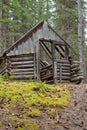 Rotting old traditional Yukon taiga log cabin ruin