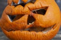 carved from pumpkin frightening face in mold and mildew during decomposition