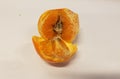 Rotting putrid inside of an orange citrus fruit