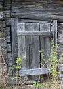 Rotting wooden door