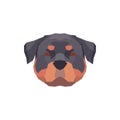 Low poly Rottweiler head