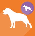 Rottweiler, dog Royalty Free Stock Photo