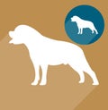 Rottweiler, dog Royalty Free Stock Photo
