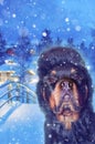 Rottweiler dog in a black hat on the background of a snowy landscape