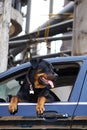 Rottweiler dog in car Royalty Free Stock Photo