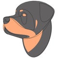 Rottweiler dog portrait. Continuous line. Dog line drawing. Vector illustration with colour. Royalty Free Stock Photo