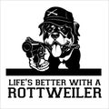 Rottweiler dog with a gun and cigar - Rottweiler gangster. Head of angry Rottweiler Royalty Free Stock Photo