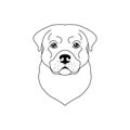 Rottweiler dog icon in line art style Royalty Free Stock Photo