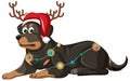 Rottweiler dog wearing Christmas hat cartoon character Royalty Free Stock Photo