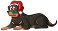 Rottweiler dog wearing Christmas hat cartoon character Royalty Free Stock Photo