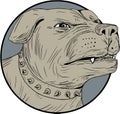 Rottweiler Guard Dog Head Angry Drawing Royalty Free Stock Photo