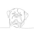 Rottweiler, guard dog, service dog, dog breed, companion dog one line art. Continuous line drawing of friend, dog, doggy