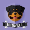 Rottweiler Royalty Free Stock Photo