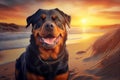 Rottweiler Pleasant Pet Playtime at the Sea Sand Sun Beach, A Dog Savoring the Simple Joys, Royalty Free Stock Photo