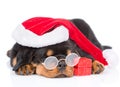 Rottweiler puppy with glasses, red santa hat and gift box. isolated Royalty Free Stock Photo