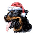 Rottweiler with santa claus hat Royalty Free Stock Photo