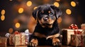 Rottweiler small dog in Santa Claus hat. Rottweiler. Christmas holidays with dogs banner poster. AI generated Royalty Free Stock Photo