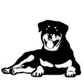 Rottweiler vector eps Hand drawn, Vector, Eps, Logo, Icon, crafteroks, silhouette Illustration for different uses
