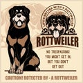 Rottweiler - vector set for t-shirt, logo and template badges on light