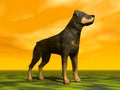 Rottweiller dog - 3D render Royalty Free Stock Photo