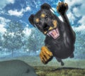 Rottweiller dog runnning - 3D render Royalty Free Stock Photo