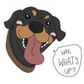 Rottweiler dog face say Hay, What\'s up? cartoon vector illustration Royalty Free Stock Photo