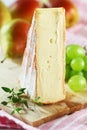 Rougette Cheese Royalty Free Stock Photo