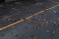 Rough asphalt roadway background, yellow painted line and brown fall leaves