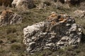 Rough big grey stone with cracks, splits, orange lichen closeup, blur on dim dry green grass meadow. Mountain valley texture. Royalty Free Stock Photo