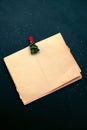 rough blank sheet of vintage paper with festive cloth pin on a black background Royalty Free Stock Photo