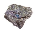 rough Bornite (peacock ore) stone isolated