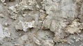 Rough and bumpy texture of exposed concrete highlighted by deep grooves and co edges Royalty Free Stock Photo