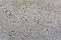 Rough Cement or Concrete Texture for Pattern and Background.