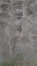 Rough cement wall plastering with circle geometric scratched pattern