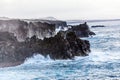 Rough coast with huge waves