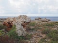 Rough coastal terrain with scattered large boulders on rocky cliff tops typical of menorca spain Royalty Free Stock Photo