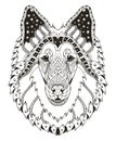 Rough collie dog head zentangle stylized, vector, illustration,