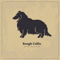 Rough Collie dog silhouette